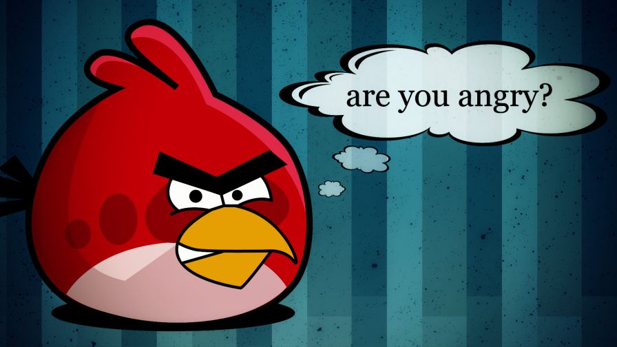 Angry Birds Are You Angry Hd Wallpaper for Desktop and Mobiles