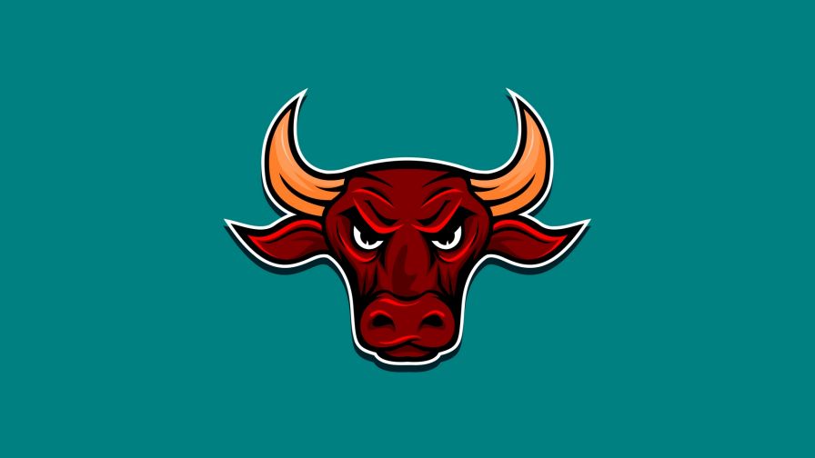 Angry bull HD Wallpaper