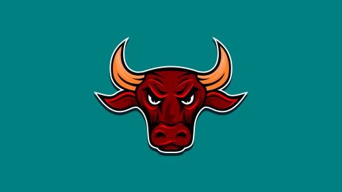 Angry bull HD Wallpaper