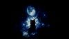 Anime cat staring at the moon HD Wallpaper