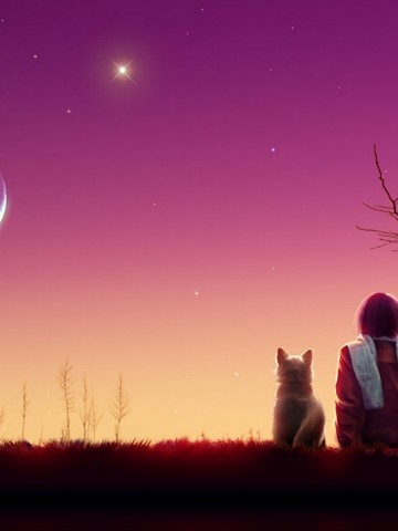 Anime girl watches the sunset with her cat HD Wallpaper