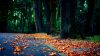 Autumn park HD Wallpaper