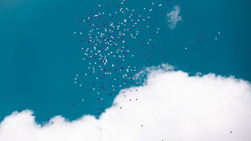 Balloons flying at the sky HD Wallpaper