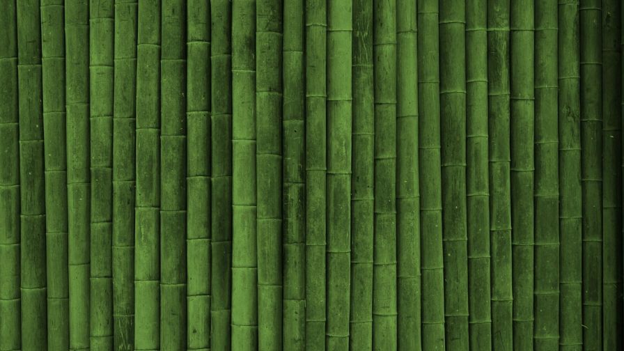 Bamboo HD Wallpaper