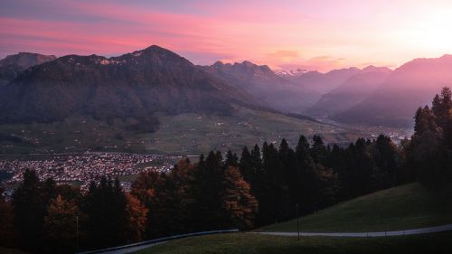 Beautiful forest of Switzerland HD Wallpaper