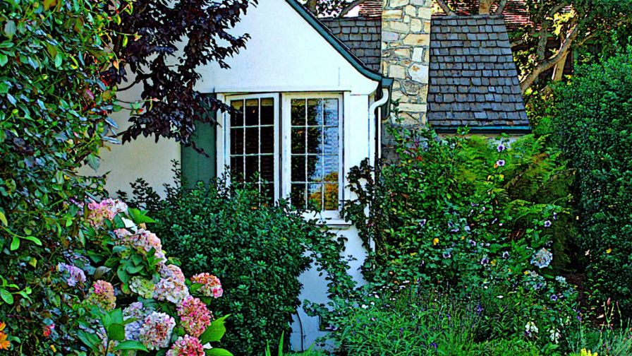 Beautiful Garden HD Wallpaper