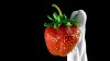Beautiful strawberry splash HD Wallpaper