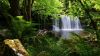 Beautiful waterfall HD Wallpaper