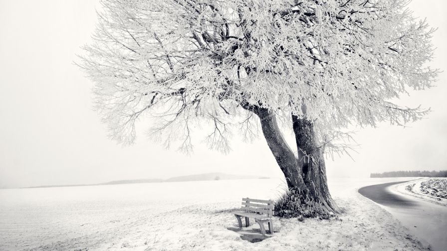 Bench near the sea covered in snow HD Wallpaper