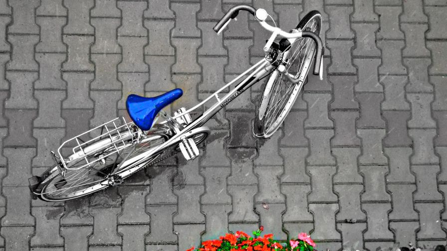Bicycle HD Wallpaper