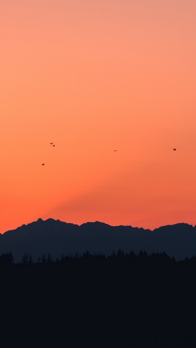 Birds over the mountains HD Wallpaper