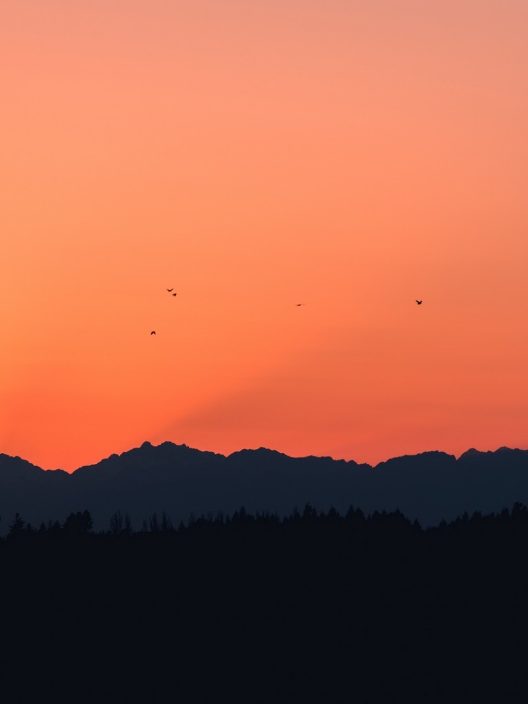 Birds over the mountains HD Wallpaper