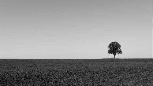 Black and white horizon HD Wallpaper