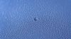 Blue blury bubbles HD Wallpaper