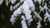 Blurry image of branches full of snow HD Wallpaper