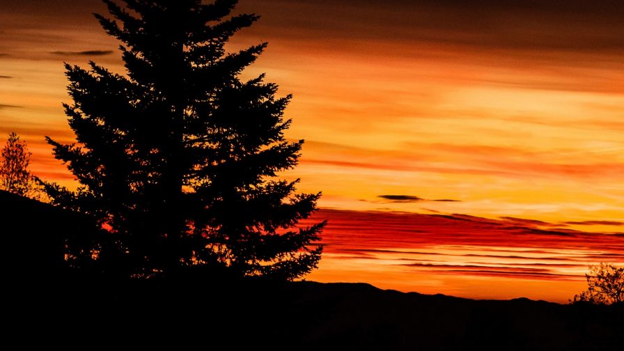 Brown sky HD Wallpaper
