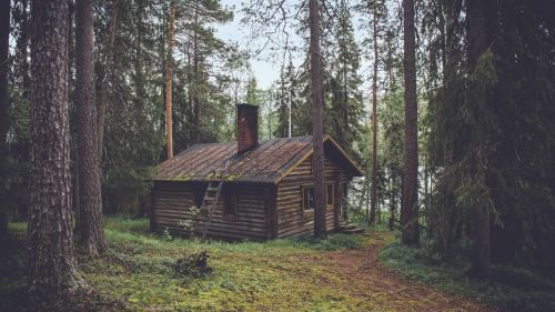 Cabin in the Woods