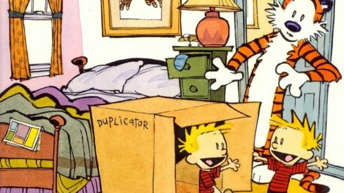 Calvin And Hobbes playing HD Wallpaper