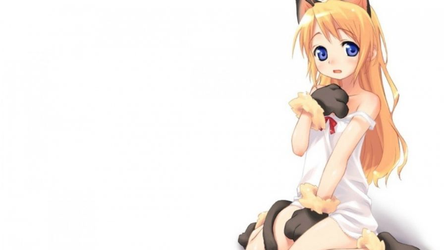 Cat Anime Girl HD Wallpaper