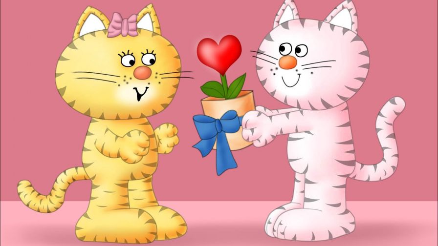 Cat couple HD Wallpaper