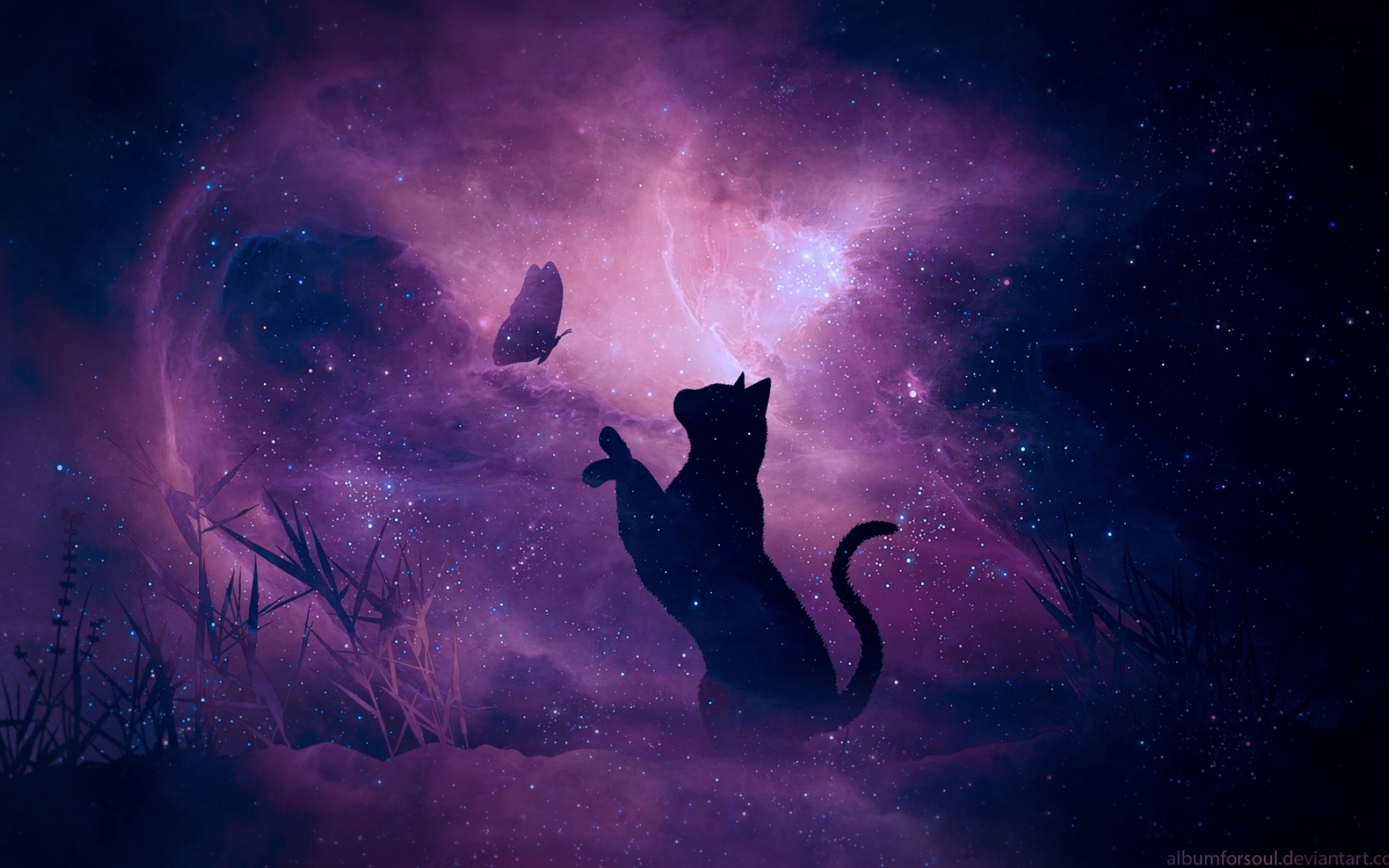 Cat trying to catch a butterfly HD Wallpaper