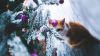 Cat under the Christmas Tree HD Wallpaper