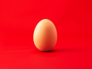 Chicken egg HD Wallpaper