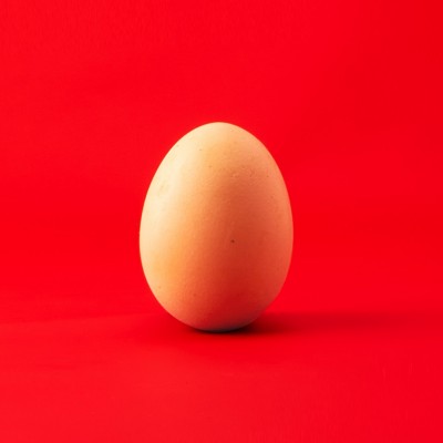Chicken egg HD Wallpaper