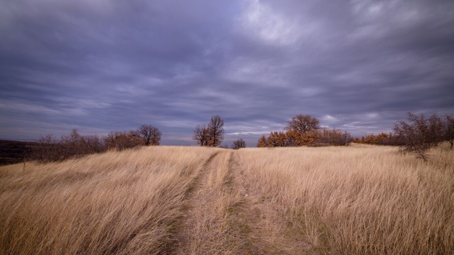 Clouds over grass field HD Wallpaper