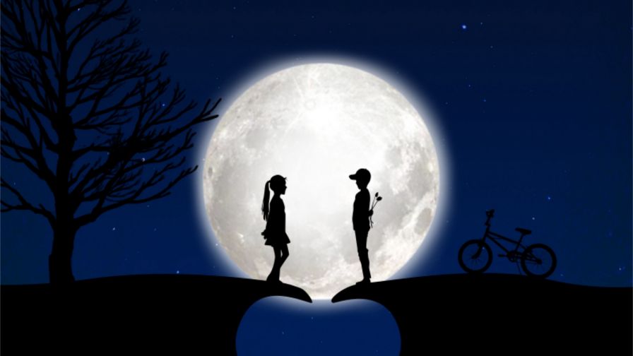 Couple in the light of the moon HD Wallpaper