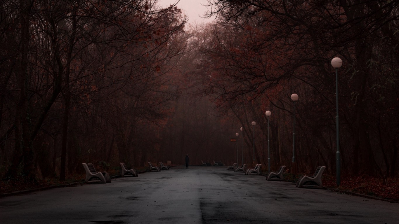Dark foggy park HD Wallpaper