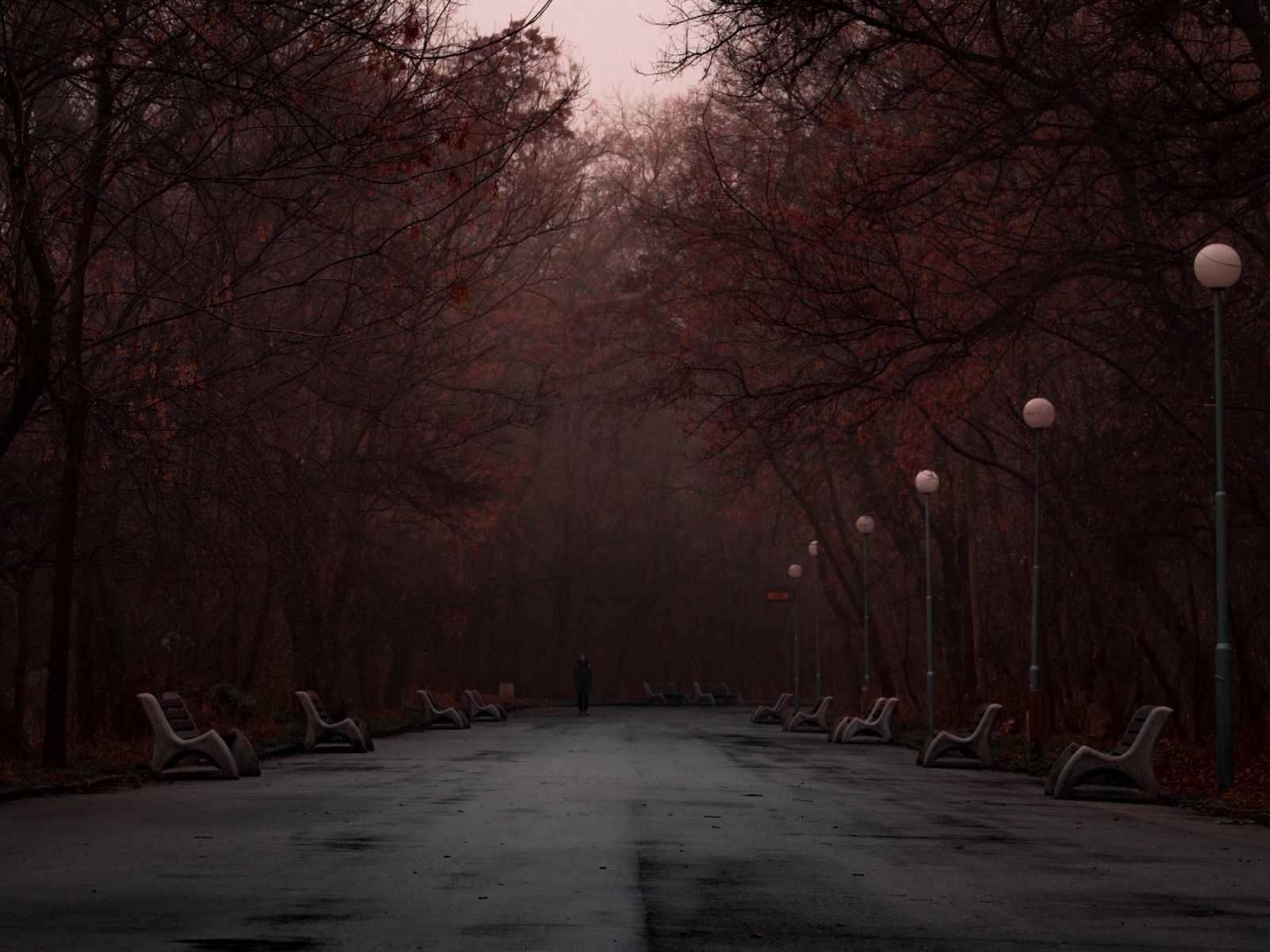Dark foggy park HD Wallpaper