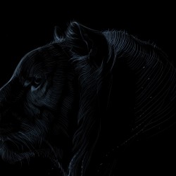 Dark tiger face HD Wallpaper