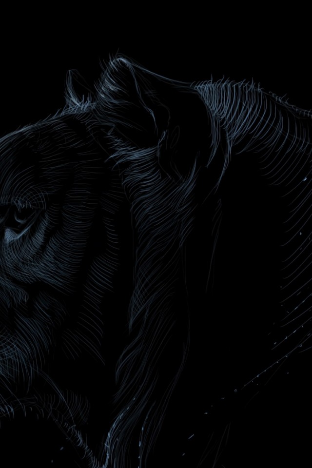 Dark tiger face HD Wallpaper