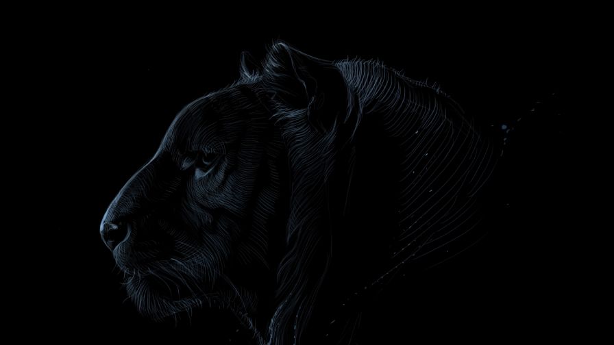 Dark tiger face HD Wallpaper