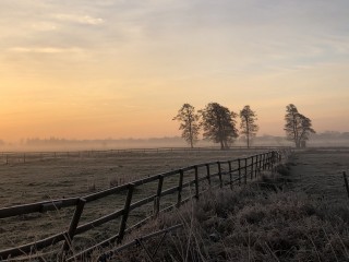 Dawn at the fields HD Wallpaper