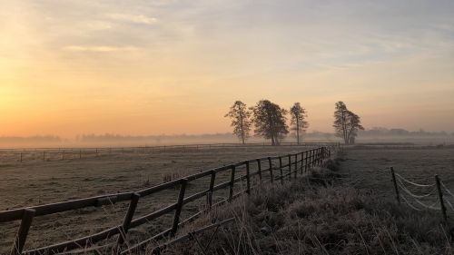 Dawn at the fields HD Wallpaper