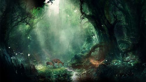 Deer at the jungle HD Wallpaper