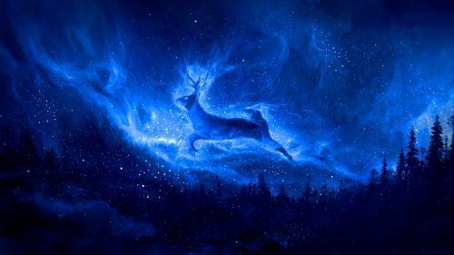 Deer silhouette at a starry sky HD Wallpaper