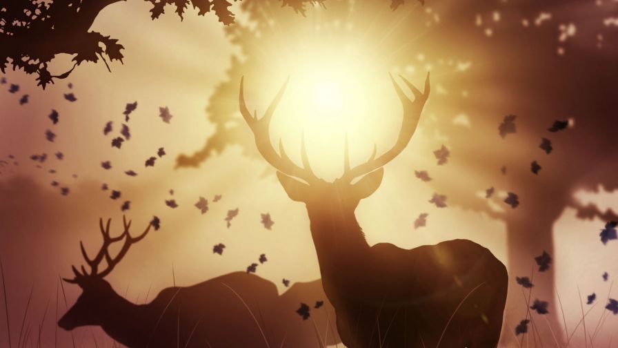 Deers at the sunlight HD Wallpaper