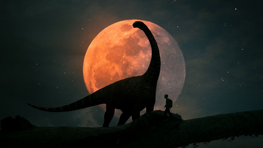 Dinosaur silhouettes HD Wallpaper