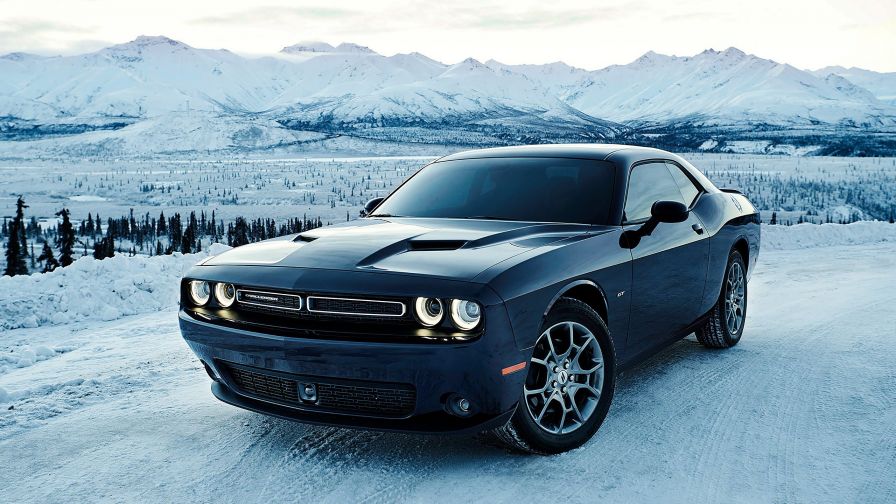 Dodge Challenger Car Hd Wallpaper for Desktop and Mobiles