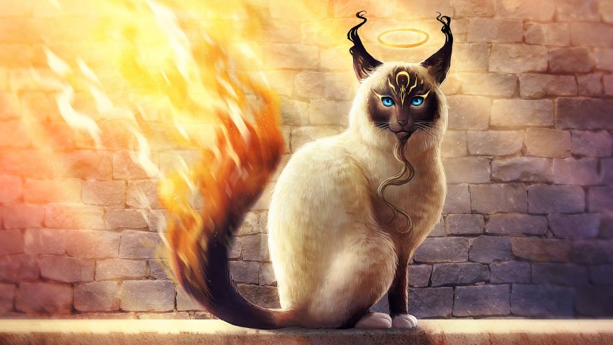 Download Free Birman Catamancer 4K Wallpaper for Desktop and Mobiles