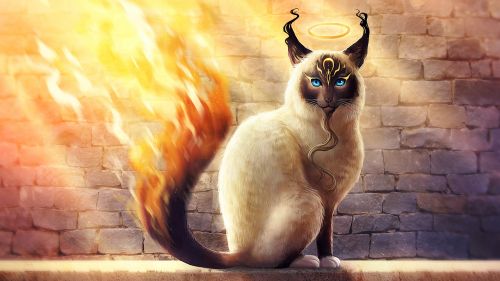 Download Free Birman Catamancer 4K Wallpaper for Desktop and Mobiles