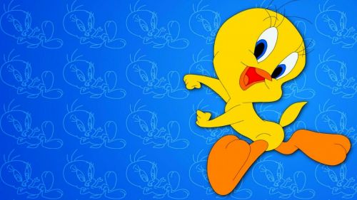 Download Free Cute Tweety Bird Wallpaper for Desktop and Mobiles