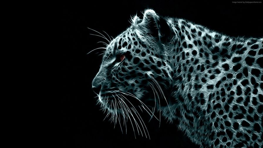 Download Free HD Snow Leopard Wallpaper