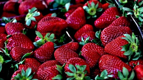 Download Free Strawberry Hd Wallpaper for Desktop and Mobiles