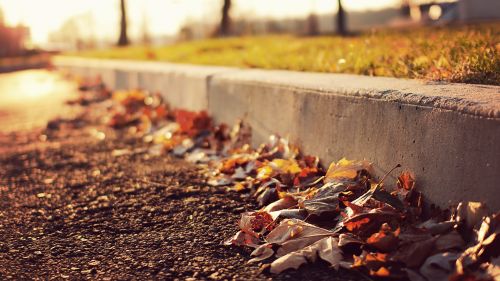 Fall Leaves Sidewalk HD Wallpaper
