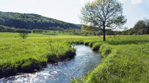 Field of Streams HD Wallpaper