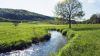 Field of Streams HD Wallpaper